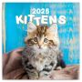 Lemeznaptr Kittens 2024, 30  30 cm