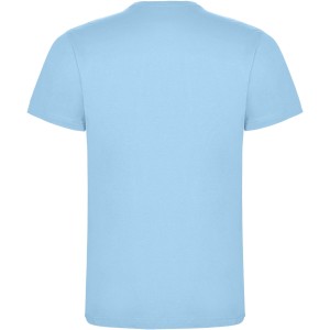 Roly Dogo Premium frfi pl, Sky blue (T-shirt, pl, 90-100% pamut)