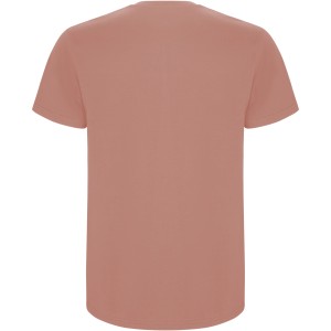 Roly Stafford frfi pamutpl, Clay Orange (T-shirt, pl, 90-100% pamut)